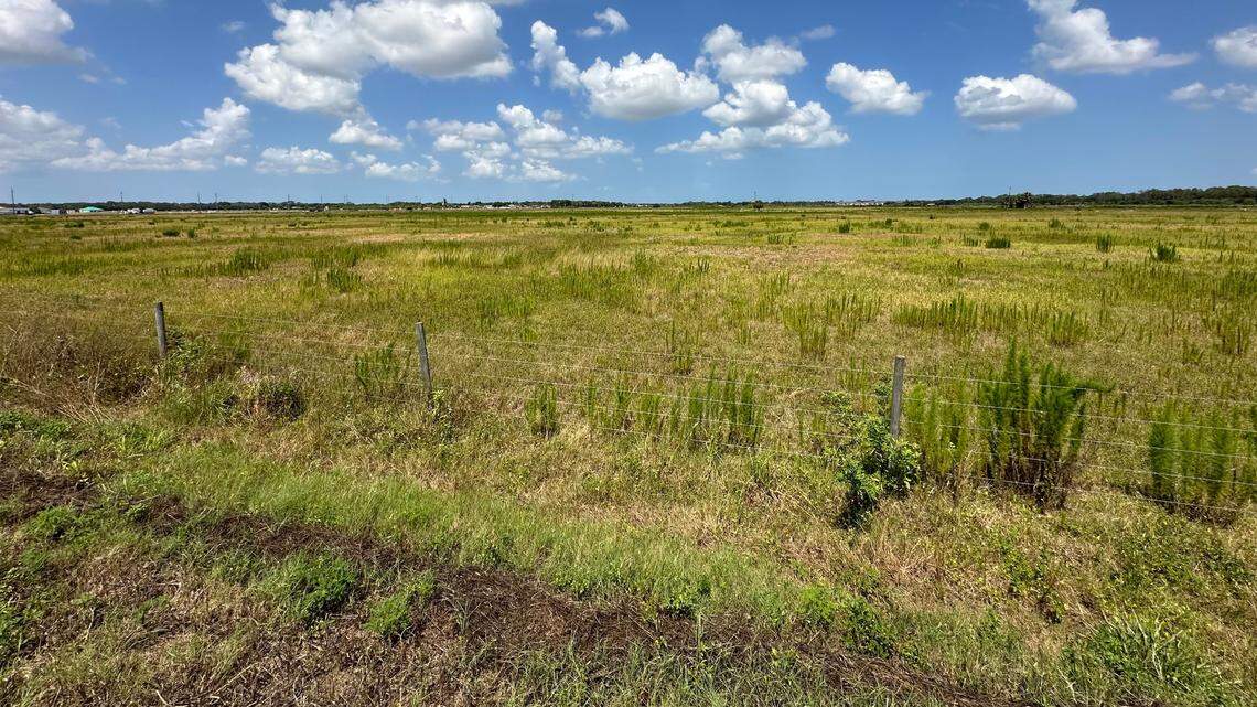 The Carlton at Robinson Gateway, a 610-unit, garden-style multifamily community, is planned for the northeast quadrant of Interstate 75 and Moccasin Wallow Road, adjacent to the planned BayCare Hospital. The 40-acre site, shown 6/3/2024, is shown looking west from Carter Road.