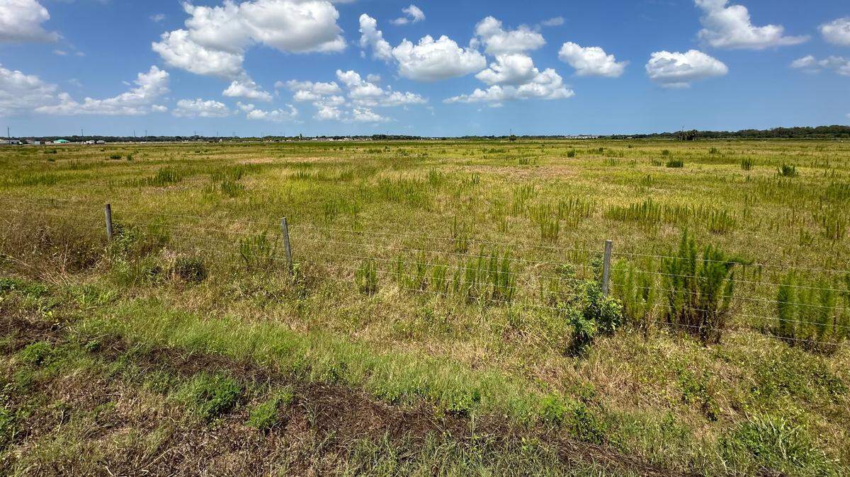 The Carlton at Robinson Gateway, a 610-unit, garden-style multifamily community, is planned for the northeast quadrant of Interstate 75 and Moccasin Wallow Road, next to the planned BayCare Hospital. The 40-acre site, shown Monday, June 3, is shown looking west from Carter Road.