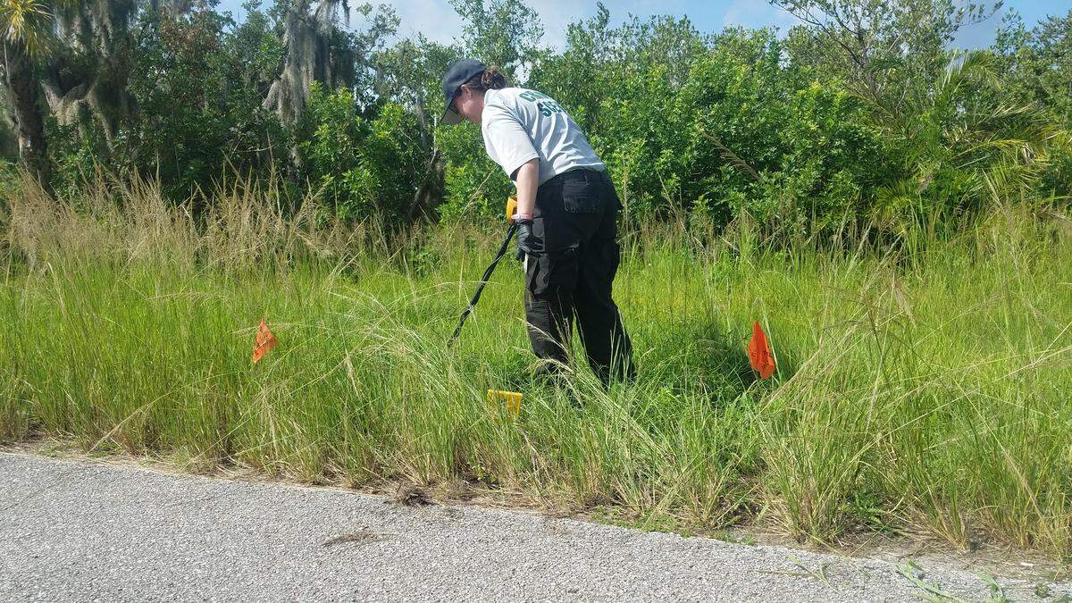 Crime scene technician Rachel Fossaceca with the Manatee County Sheriff’s Office searches the grass where Christopher Alan Boston’s body was found late Wednesday for any possible evidence for the investigation into his death.