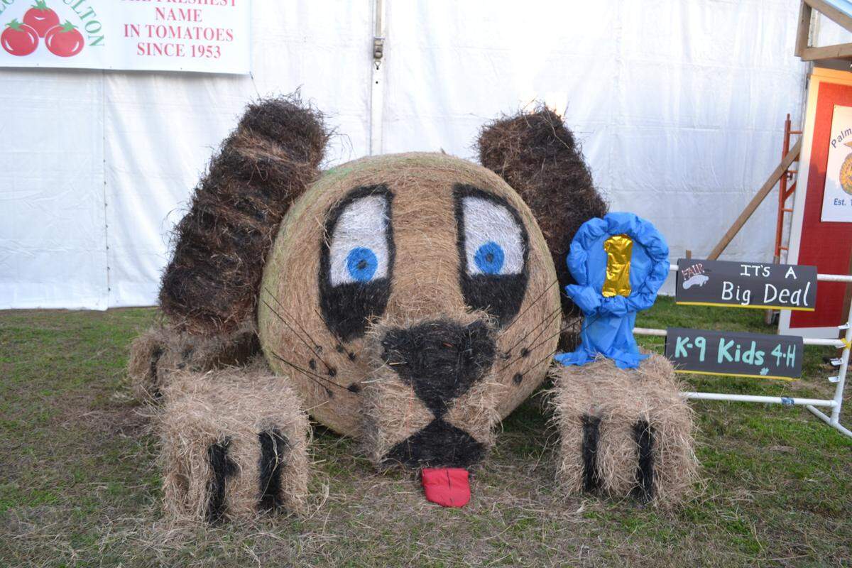Decorated hay bales are on display throughout the fairgrounds at the 103rd Manatee County Fair.