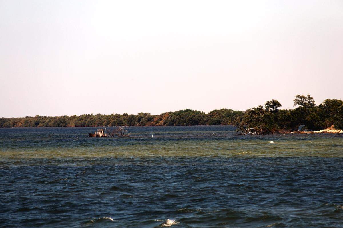 Remains of a dock at the end of Piney Point Road, just north of current Port Manatee property, are a reminder of the cross-bay ferry service that once linked the area with St. Petersburg – prior to building of the Sunshine Skyway Bridge using precast components formed at a plant at Port Manatee.