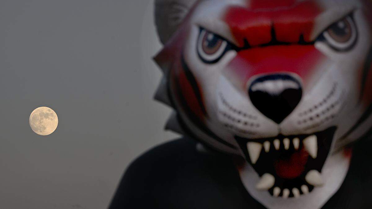 The bright moon shines besides Palmetto’s tiger on Friday, Oct. 27, 2023 in Palmetto.