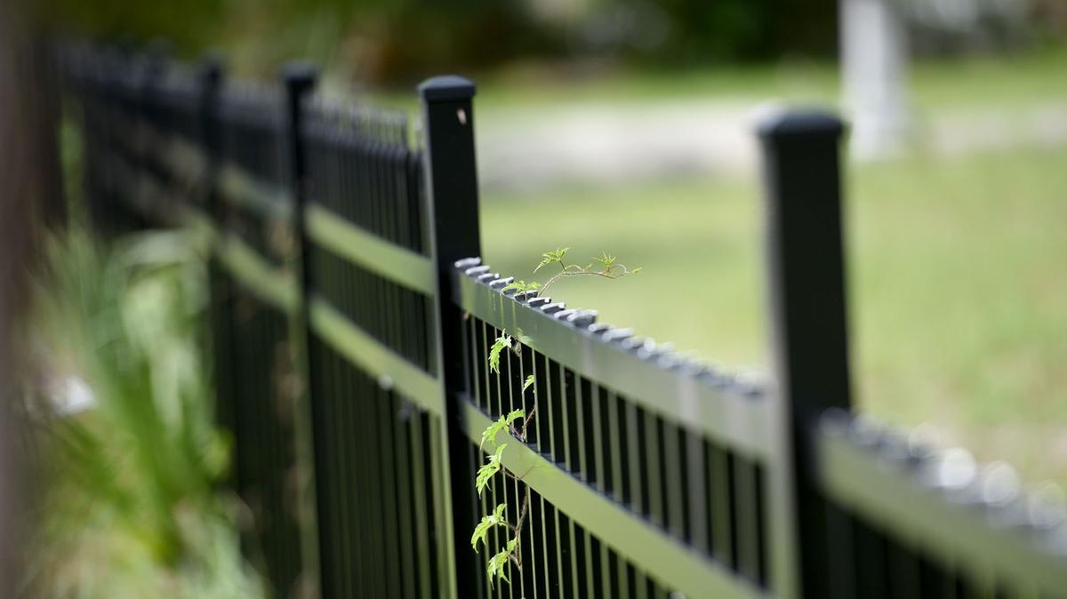 Thieves have been cutting out pieces of the new cemetery fencing around Adams Cemetery  to sell the aluminum for scrap.