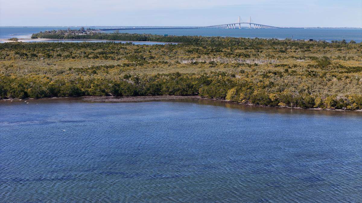 The Knott-Cowen Tract, where SSA Marine and partner Slip Knott LLC plan to build a new cruise ship port. Photo taken Jan. 20, 2026.