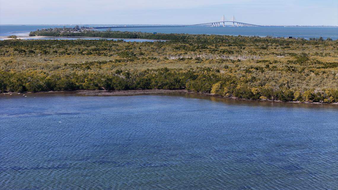 Cruise port gets ‘rapid response’ from Manatee County. What does that mean?