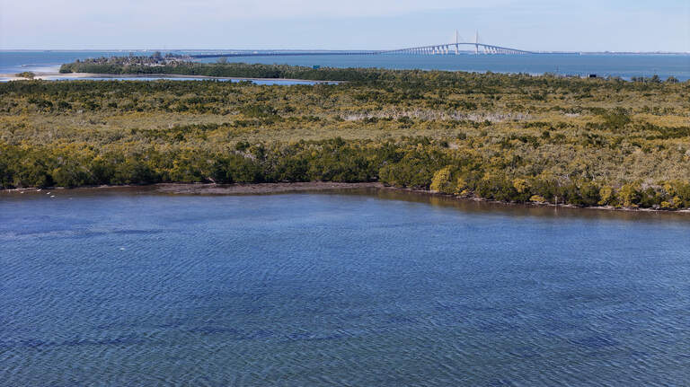 Cruise port gets ‘rapid response’ from Manatee County. What does that mean?