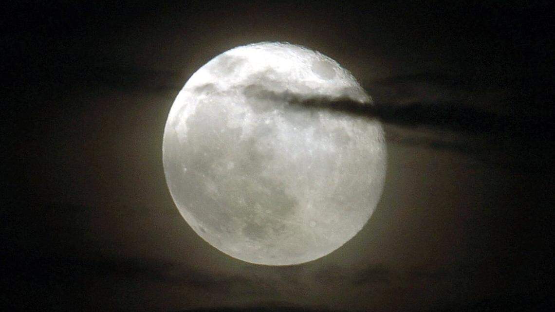 Speaking Volumes | Check out your Manatee library for Halloween reads and classic films