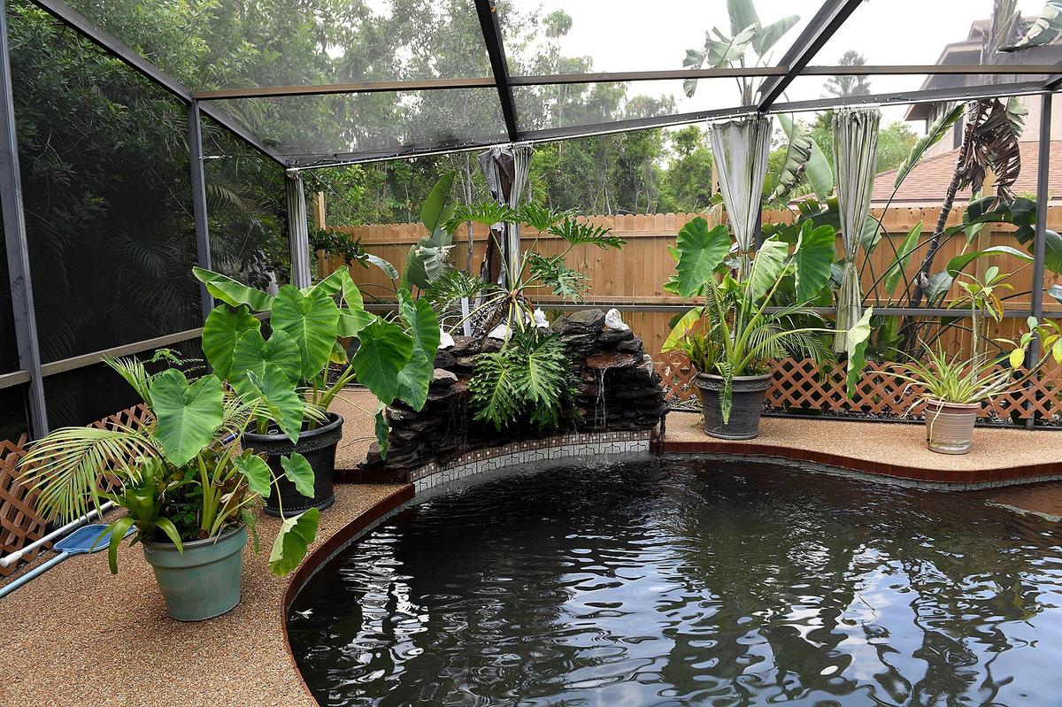 The screened-in pool is designed to look like a natural pond with clear water, a brown lining and a rock waterfall feature at the far end.