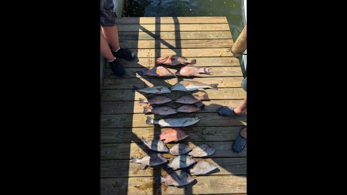 Captain Devin Calderon helped reel in an impressive catch during his charter off the coast of Anna Maria Island and in Tampa Bay on Feb. 26, 2025.