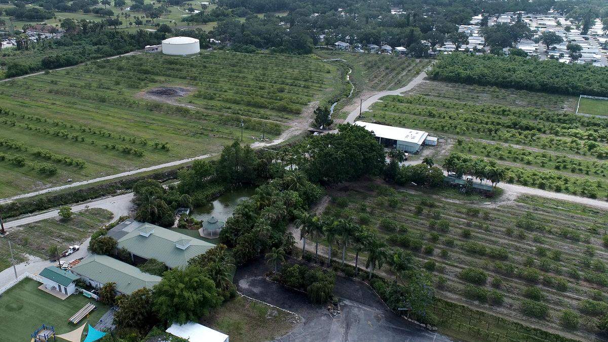 Mixon Fruit Farm on May 25, 2023. 