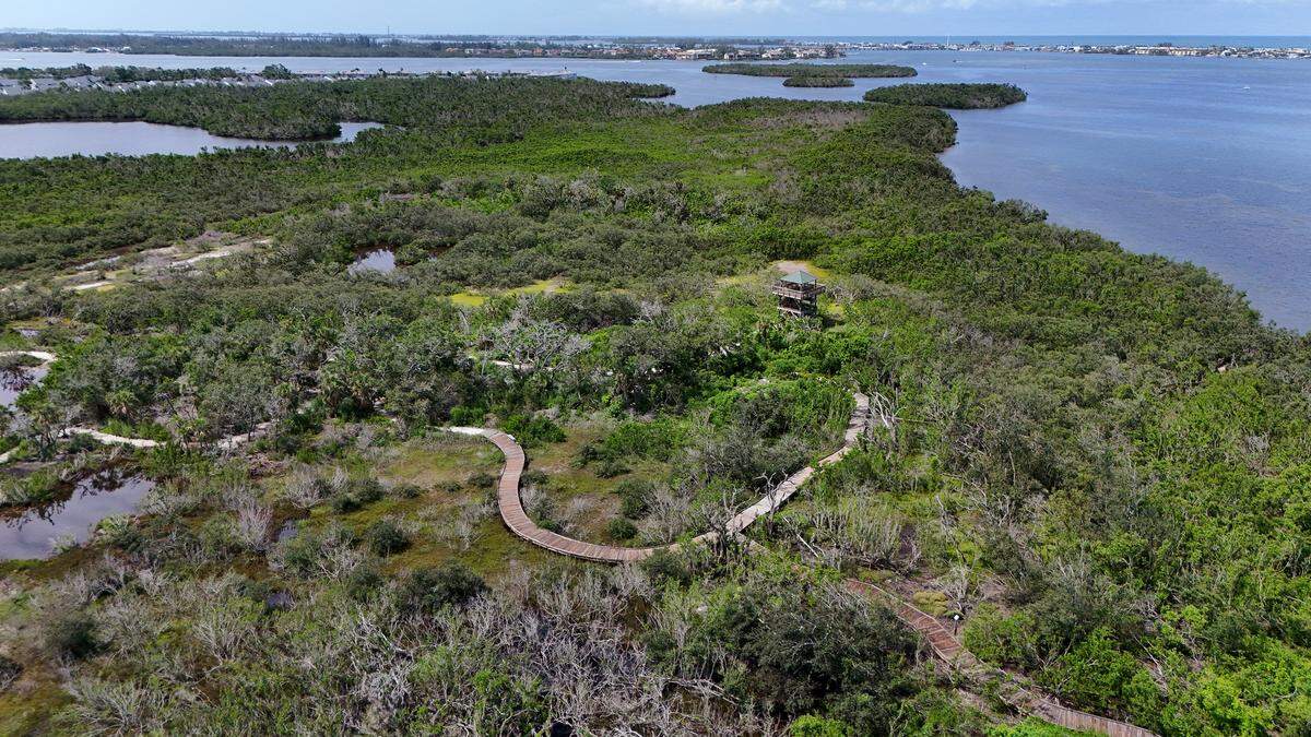 A Florida lawmaker has filed a bill to revise SB 180, a law passed in 2025 that limits local government’s ability to regulate development. A Manatee County nature preserve is pictured on July 1, 2025. 