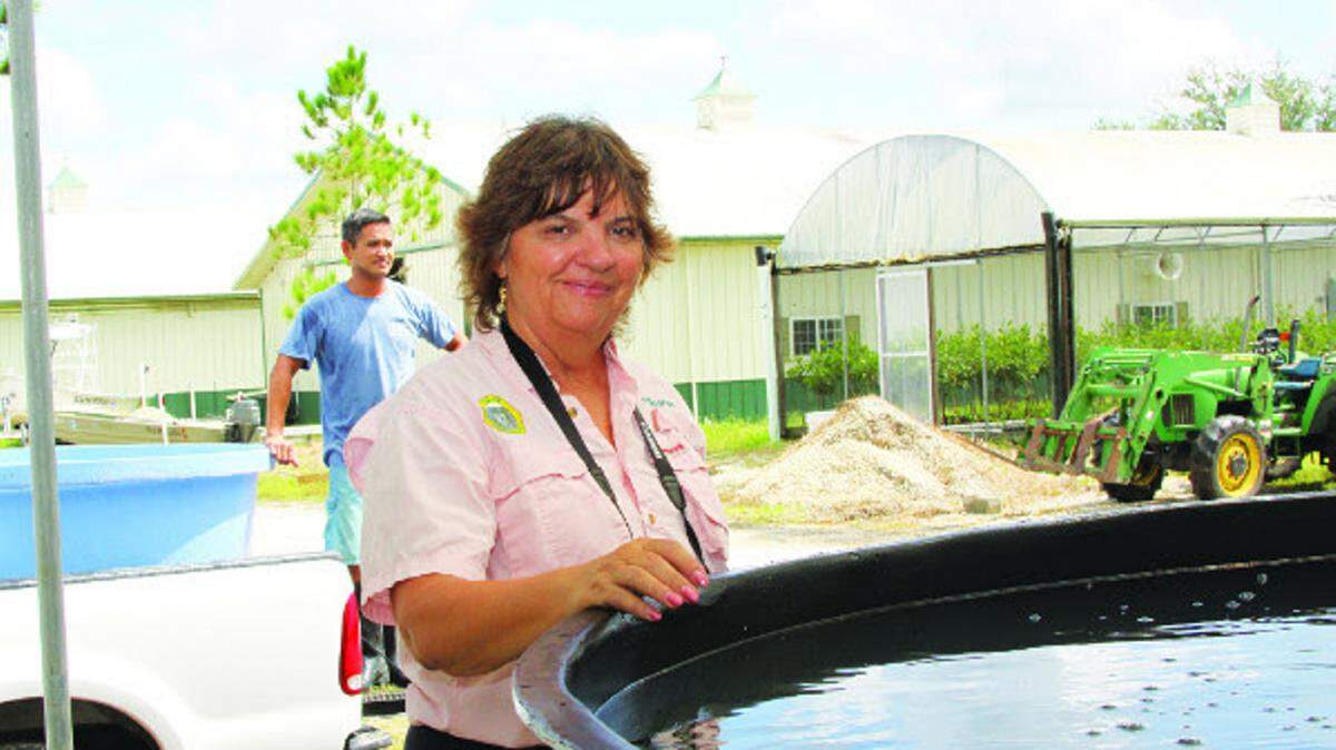 Dr. Kevan Main, senior scientist at Mote Marine Laboratory, will lead a study on developing more sustainable fish chow for aquaculture, using mullet byproducts, as part of the project Healthy Earth-Gulf Coast: Sustainable Seafood System. PROVIDED PHOTO
