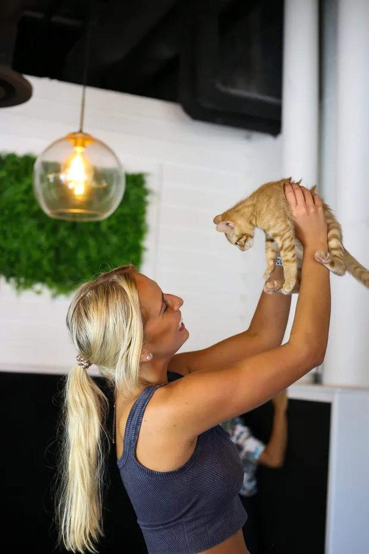 New Tampa business Cats & Caffeine plans to host events like yoga with kittens.