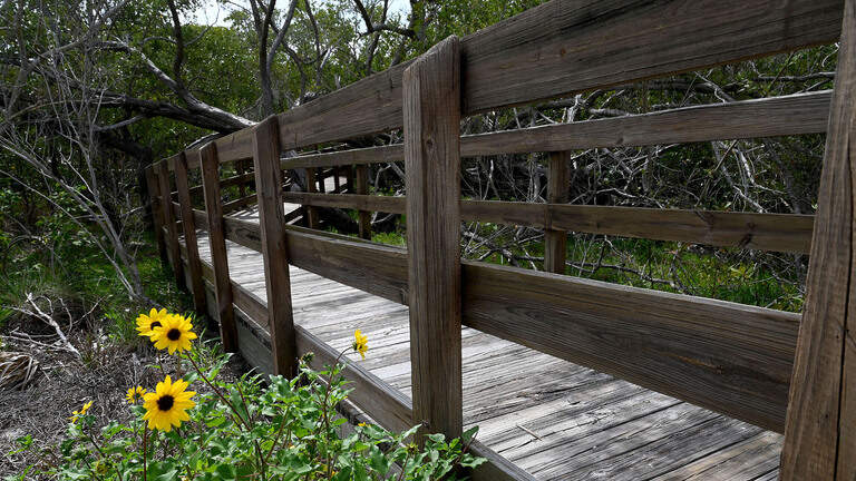 Manatee voters could OK more land conservation. What’s been bought already?