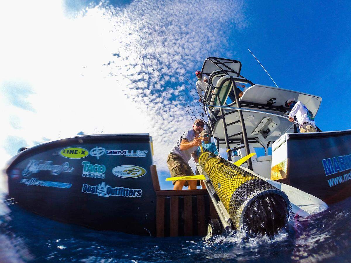 Mote Marine Laboratory’s ‘Genie’ glider returns from a 15-day mission in the Gulf of Mexico. The winged, yellow torpedo-like device collected data on seven different factors, which will allow Mote scientists to learn more about how blooms of *Karenia brevis*, the Florida red tide algae, occur.