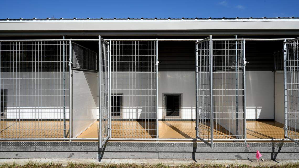 The University of Florida reviewed Bradenton’s Bishop Animal Shelter expansion, noting fixes and recommendations after local advocates raised concerns over kennels. Shown here on Dec. 11, 2025.