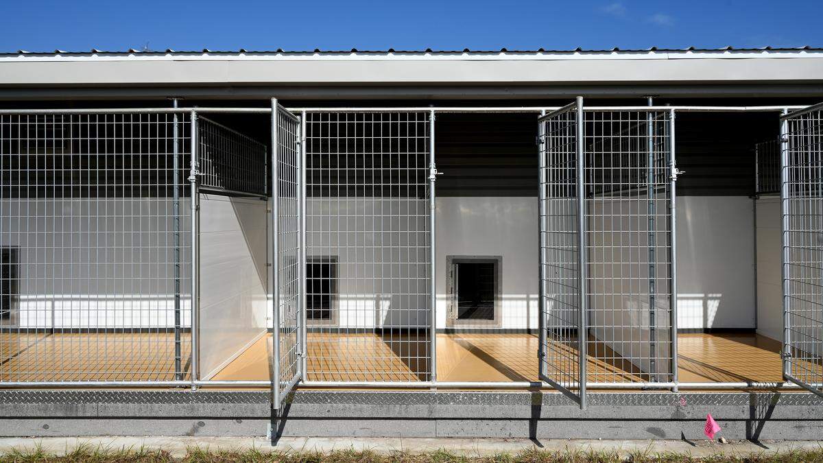 New kennels at Bishop Animal Shelter allow the animals to go in or outside at the shelter’s expanded facility, shown on Dec. 11, 2025.