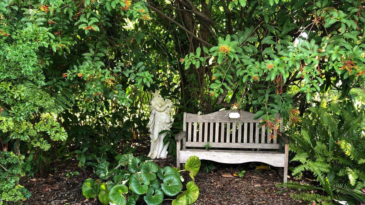 Palma Sola Botanical Gardens will host a spring plant sale this Saturday.