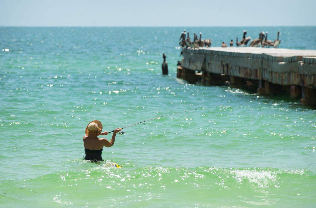 Anna Maria Island and Longboat Key beaches, a variety of sports and arts activities, and the weather continue to attract a growing number of visitors to the Bradenton area. More than 3.1 million visited in 2017.