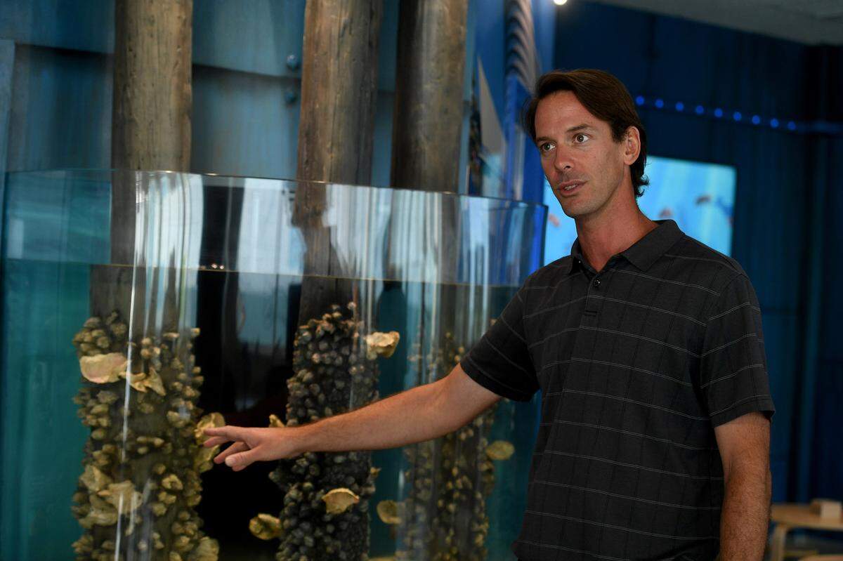 Evan Barniskis, Associate VP of Mote Marine Aquarium, points out features of one of the exhibits during a preview of the Mote Marine Laboratory & Aquarium which opens its Anna Maria outreach and education center this week on the Anna Maria Pier.