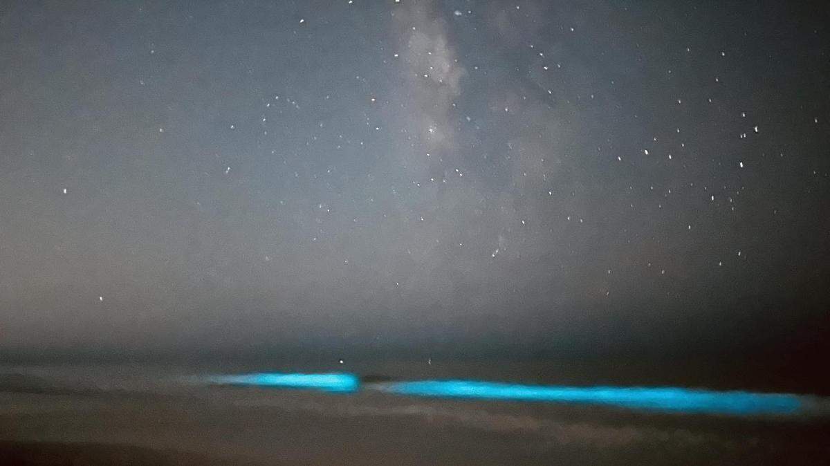 The Ali family of Bradenton was walking along Anna Maria Island over the weekend when they witnessed a bright display of bioluminescence in the waves at Coquina Beach.