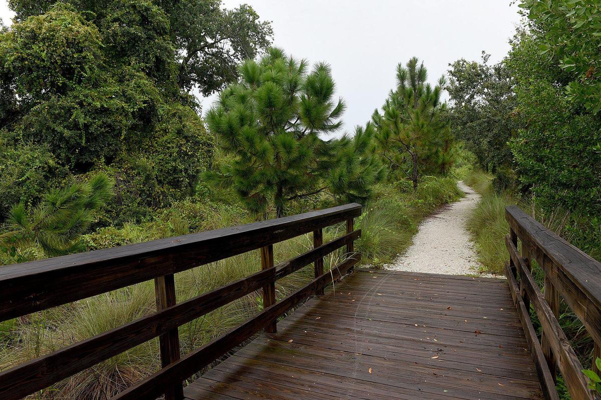 On a rainy day at Perico Preserve, only raindrops could be heard along the paths. Manatee County voters will decide on a land conservation referendum in the Nov. 3 General Election that would slightly raise taxes to pay for new parks and other protected areas.