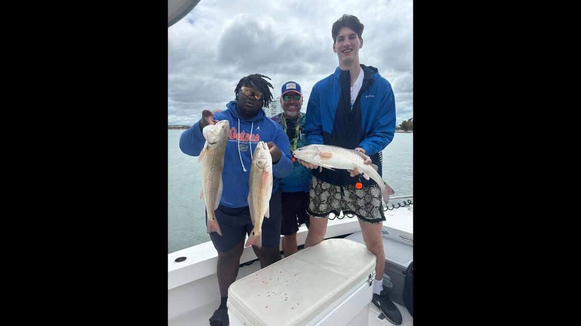 ‘Didn’t seem real.’ Tampa Bay captain goes fishing with these UF Gator giants