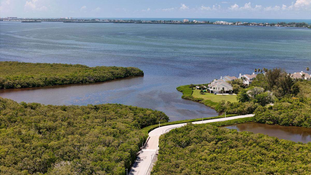 Looking towards Sarasota Bay from the entrance to Tidy Island in August, 2024.