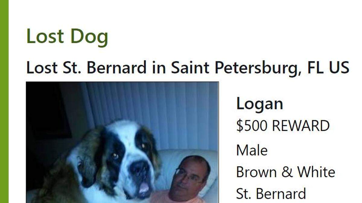A 200-pound St. Bernard named Logan has been found dead in a neighbor's bushes one house away.