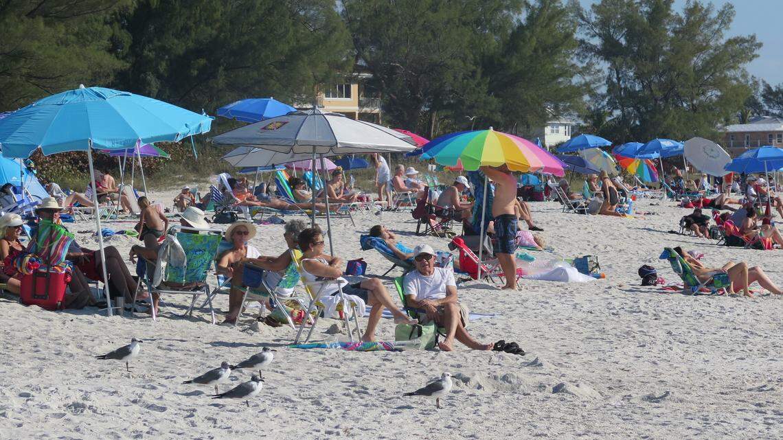 Manatee Public Beach hosted a huge crowd Friday afternoon in the wake of a persistent red tide bloom that hung around for months. For the past few weeks, officials say, the area has been free of the harmful algae that left tons of fish dead and hurt local businesses.