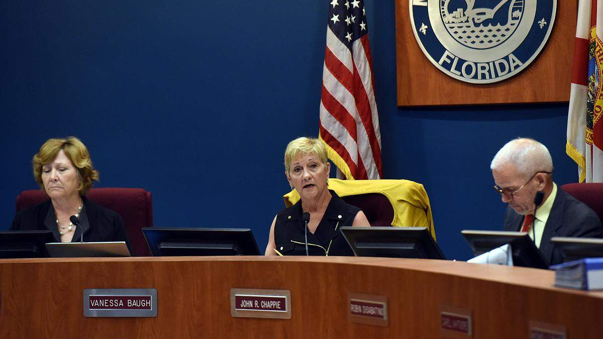 Commissioner Vanessa Baugh addresses the crowd after the Citizens Financial Structure Advisory Board presented a report to the Manatee County Commission Tuesday about a half-cent sales tax increase in the county. 
 TIFFANY TOMPKINS/Bradenton Herald