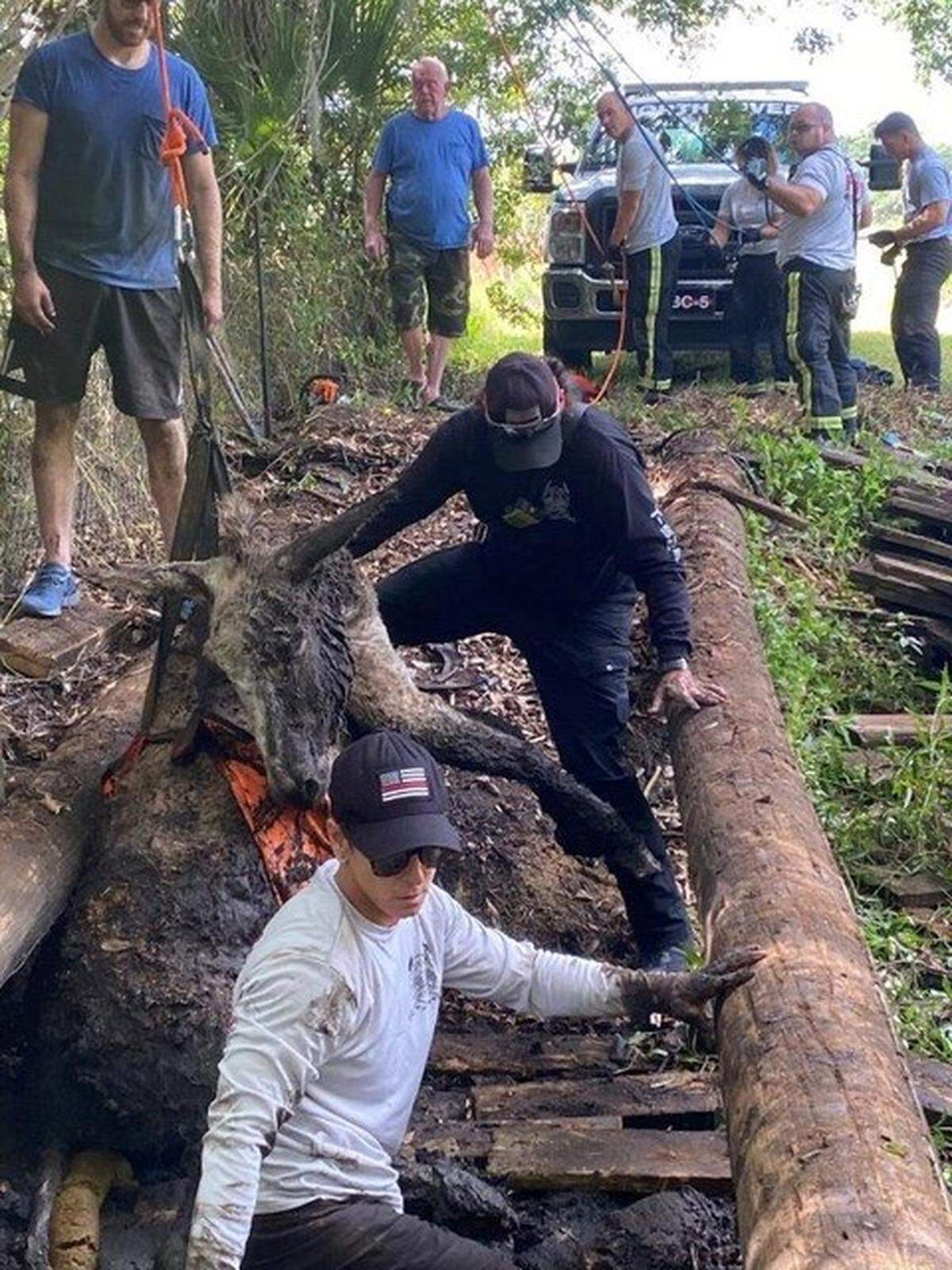 Cecil, a 400-500 lb donkey, was rescued by North River Fire’s Technical Rescue Team April 30, 2022.