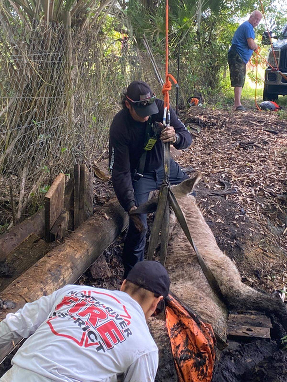 Cecil, a 400-500 lb donkey, was rescued by North River Fire’s Technical Rescue Team April 30, 2022.
