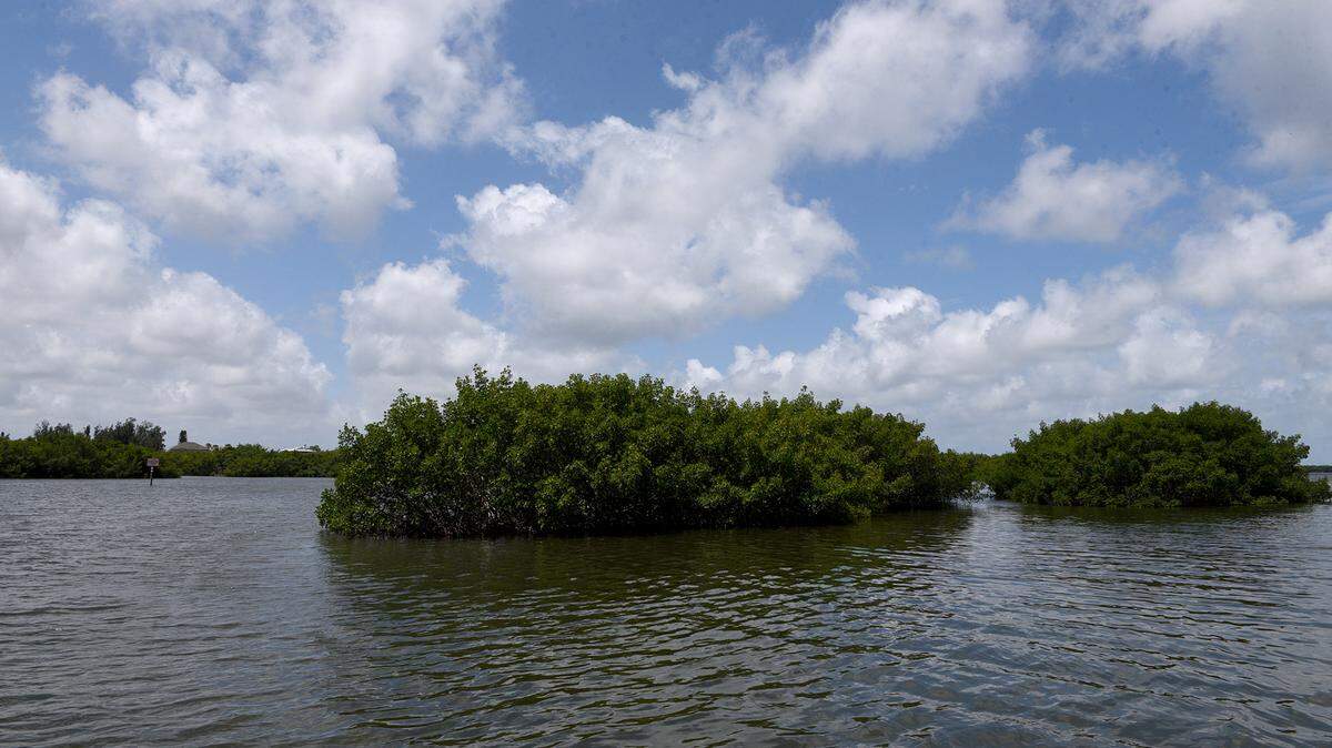 State Sen. Jim Boyd, R-Bradenton, says there is a new plan in Florida’s 2024 budget to help Manatee County buy and protect Rattlesnake Key island in Tampa Bay. The Terra Ceia area is pictured in this June 2021 Bradenton Herald file photo.