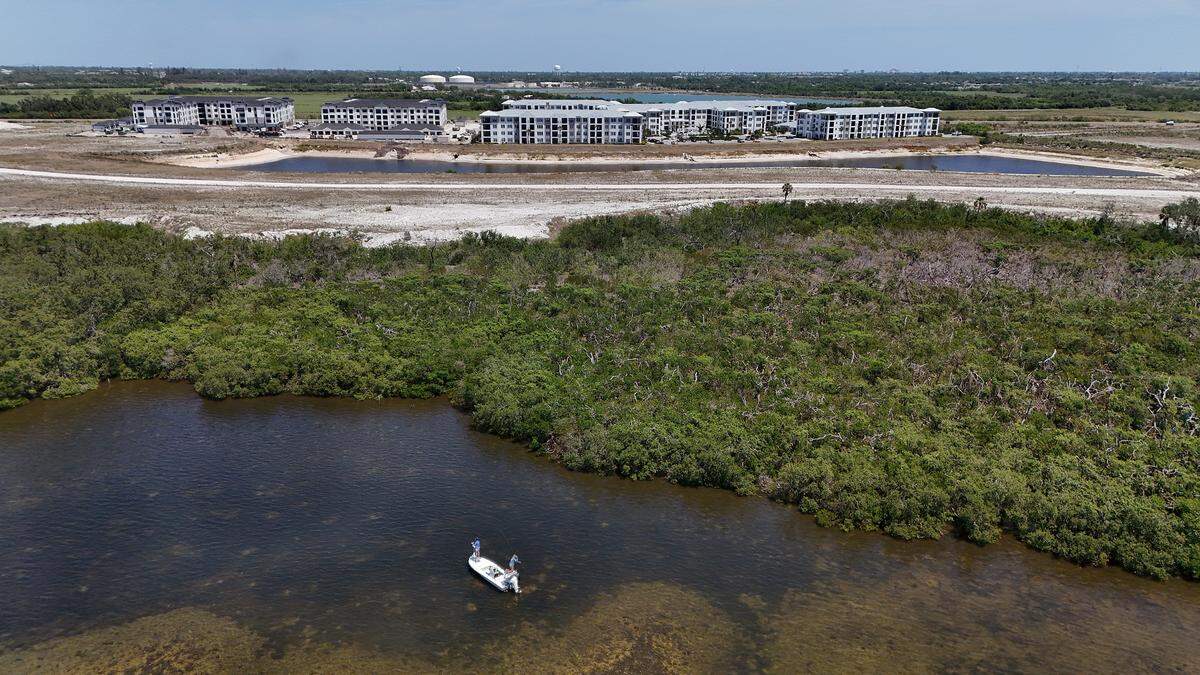 Views of Cirrus at Aqua beyond a stretch of mangroves from Sarasota Bay on April 24, 2025.