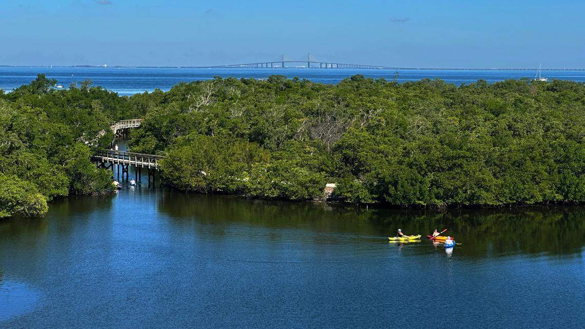 How long will this cold weather stick around Manatee County? What the forecast says
