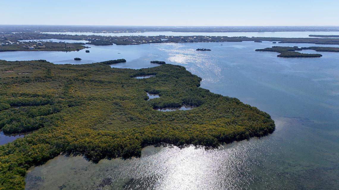 The Knott-Cowen tract on Feb. 9, 2026. After companies SSA Marine and Slip Knott LLC proposed building a cruise ship terminal on the Knott-Cowen tract adjacent to the Terra Ceia Aquatic Preserve, Florida lawmakers passed a bill to prevent it. Some critics say it didn’t go far enough. 