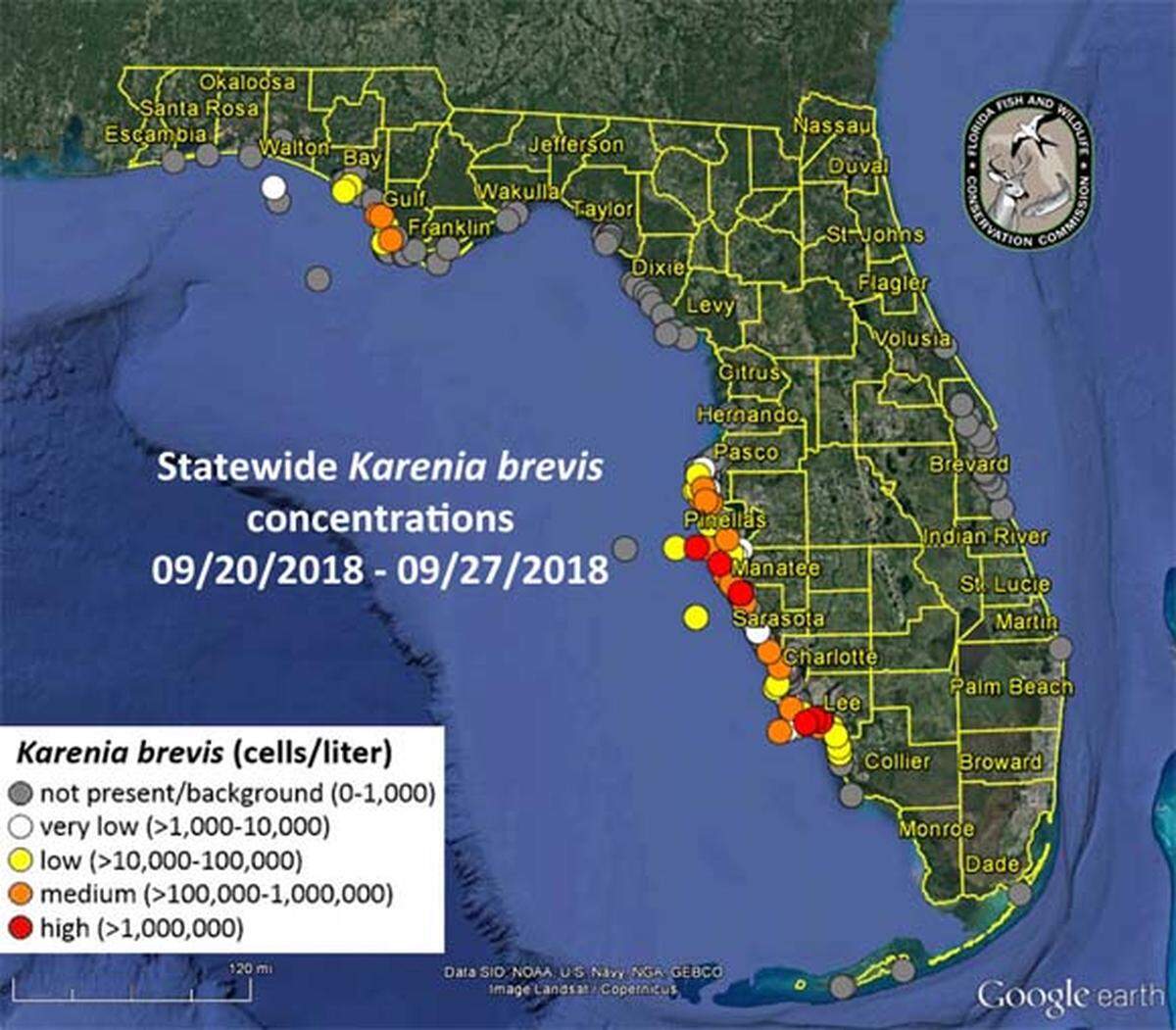 FWC officials say red tide is on the decline in Manatee County once again. Water samples from the last few days show the concentrations are between 5 and 25 percent lower than last week. Similar results were found in other southwest Florida counties.