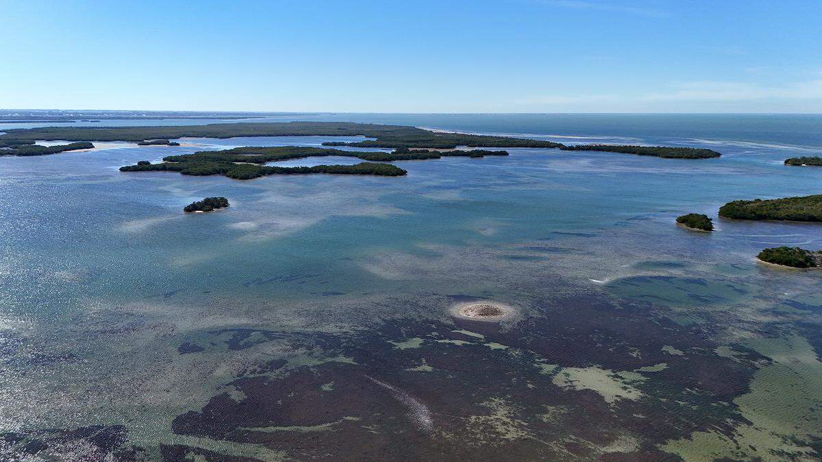 Rattlesnake Key, a 700-acre island of submerged land and mangrove forests, is pictured in on Jan. 20, 2026.