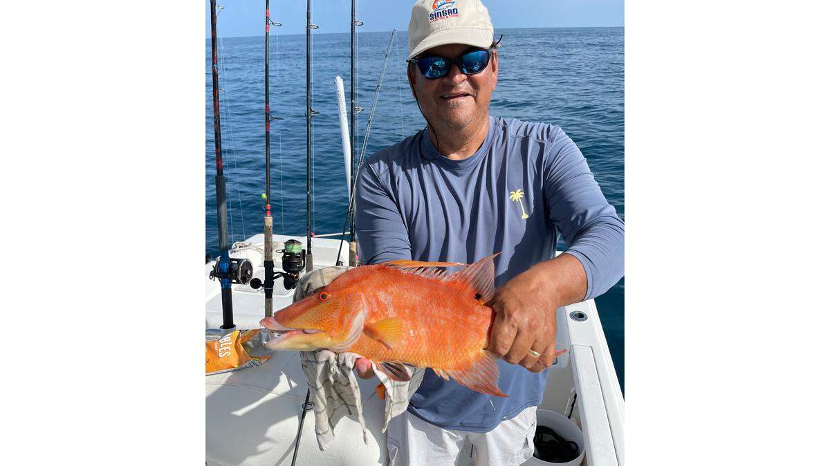 Captain Carlos Boothby caught this hogfish on July 20, 2022.