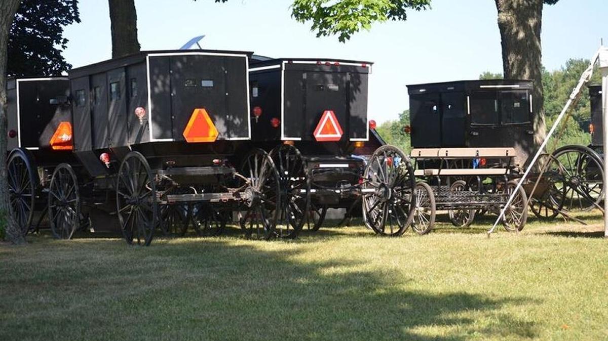 Friends, neighbors and family came by buggy to help several days ahead of Susan and Mose’s wedding.