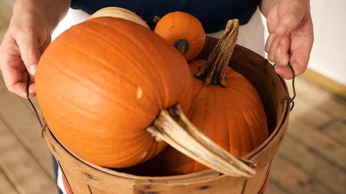 This week Lovina shares a Pumpkin Pie Cupcake recipe along with tips for making removal from a muffin tin easier.
