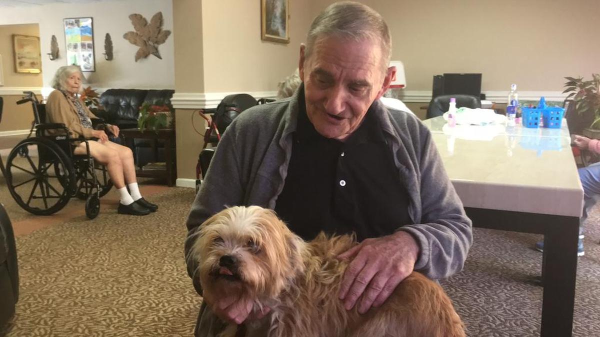 Bradenton Oaks resident Allen Poet has appointed himself caretaker of Bradenton Oaks’ mascot, a little dog named Rudy. Poet asked the Be a Santa for a Senior program for doggie treats for Rudy, but he got a lot more, revealing the generosity of area residents and visitors.