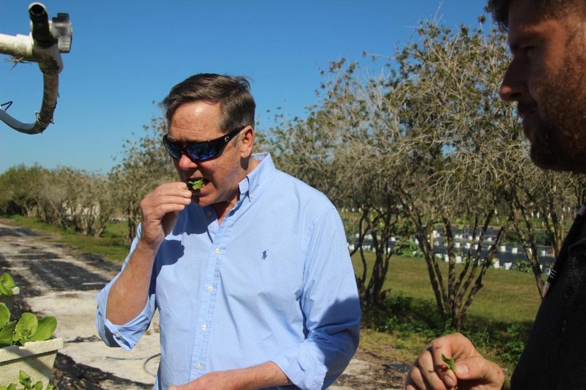 Ed Chiles samples the arugula at Geraldson Farm Market. Chiles uses the market to supply his three restaurants, and has opened it to the public four days a week.