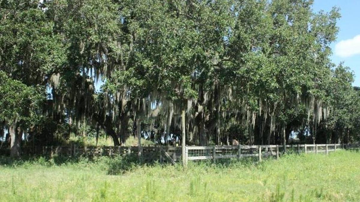 The Parrish Lakes property has traditionally been used for agriculture. It is proposed for 3,300 residential units, 400,000 square feet of retail and 50,000 square feet of office space.