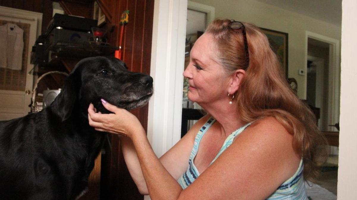 Katie O’Neal, the owner of Feathers and Tails Hideaway Reliable Pet Sitting, is shown with a black lab named “Strider” that she sat for recently.