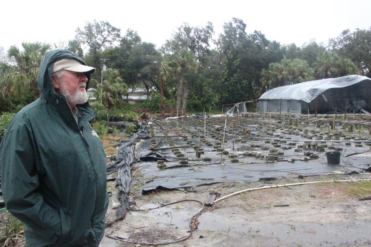 Ralph Garrison of Suncoast Nursery, Inc. not only faces rebuilding greenhouses destroyed by Hurricane Irma, but also a cold-weather threat to his tropical plants.