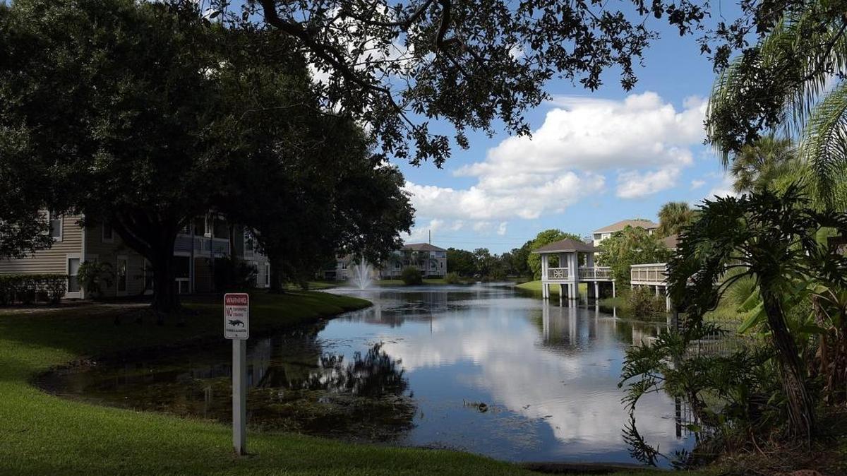 A number of residents who purchased homes in the Palm Cove of Bradenton condominiums complex are fighting to keep their homes after the Riley Family Corp. bought the majority of the complex.