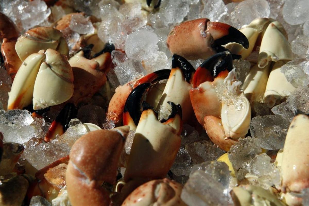 Stone crab season begins Oct. 15 and runs through May 1.