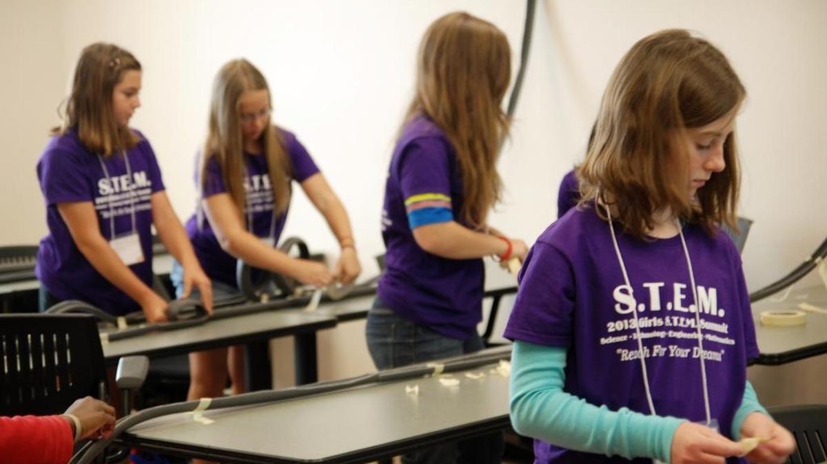 The University of South Florida Sarasota-Manatee hosted a STEM Summit in 2013 to encourage middle-school-aged girls to explore careers in science, technology, engineering or math. National statistics and data from local colleges indicate men still far outnumber women in IT professions.